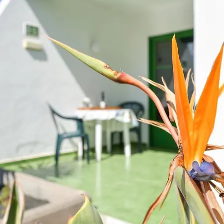 Mimosa B1 Apartment